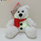 Xmas LED Lighting Plush Bear With Santa Hat Kids Gift LED Bear Children Plush Toy